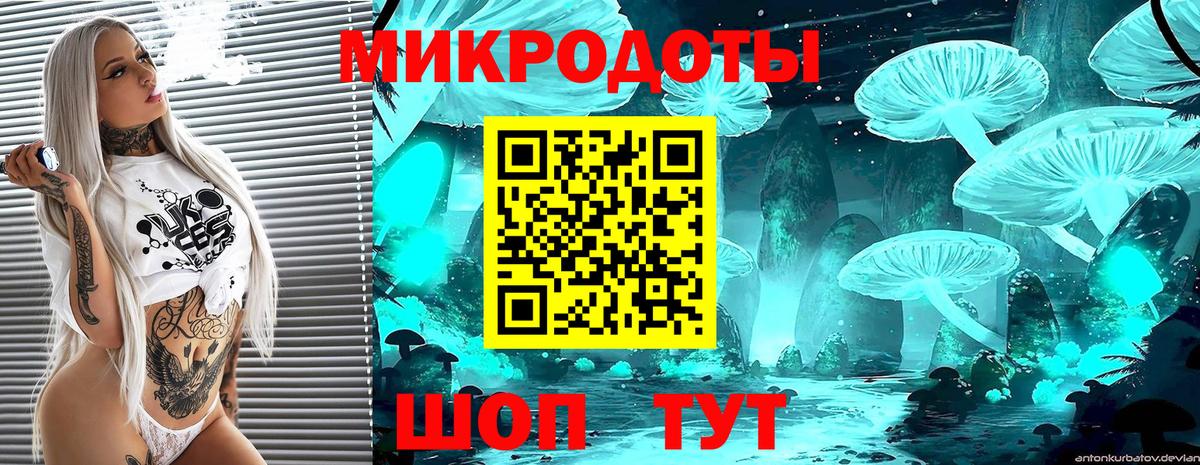 Рузаевка  Псилоцибиновые грибы GOLDEN TEACHER  Вход с VPN 