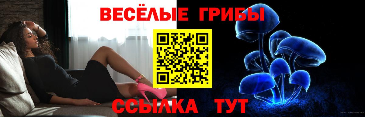 Галлюциногенные грибы мицелий Рузаевка